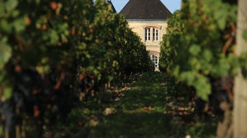 Château Dufort-Vivens